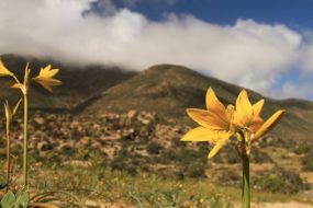 Clínica Atacama